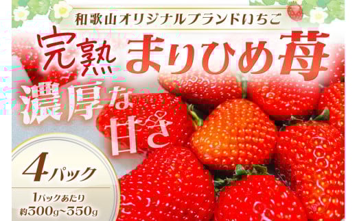 【和歌山オリジナルブランドいちご】完熟まりひめ苺 4パック【配送不可地域:北海道・沖縄・離島】《先行予約》和歌山県御坊市19000果物・フルーツいちご