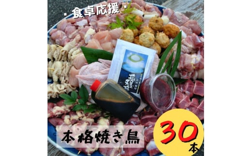 【本格焼き鳥お任せセット30本】BBQ、キャンプに!焼き鳥パーティにオススメ!和歌山県御坊市17000肉鶏肉