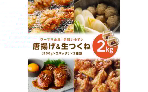 地域の方に長く愛されている【鳥好特製 唐揚げ&生つくね】【全て手仕込み 】和歌山県御坊市16000肉その他 肉