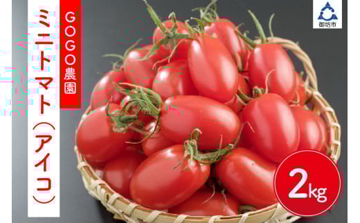 ~jg}giACR2kgjs\2025N11菇\a̎RVs13000؁Êg}g