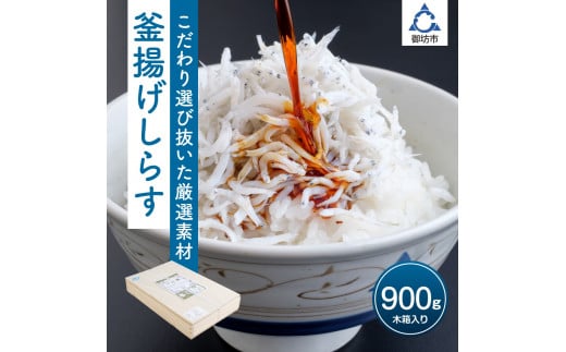 炷 900gyzsnFkCEEza̎RVs15000ECY̑ ECY