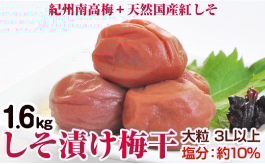 しそ漬け梅干(紀州南高梅)1.6kg 大粒 3L以上 和歌山県産和歌山県御坊市20000鍋セット・総菜・加工食品漬物・梅干・キムチ
