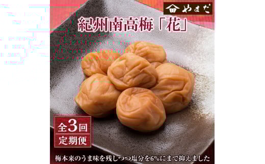 【定期便3回】紀州南高梅「花」塩分約6%和歌山県御坊市36000鍋セット・総菜・加工食品漬物・梅干・キムチ