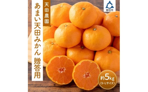 和歌山県 御坊市 あまい天田みかん 贈答用 約5kg《先行予約》和歌山県御坊市13000果物・フルーツみかん・柑橘類