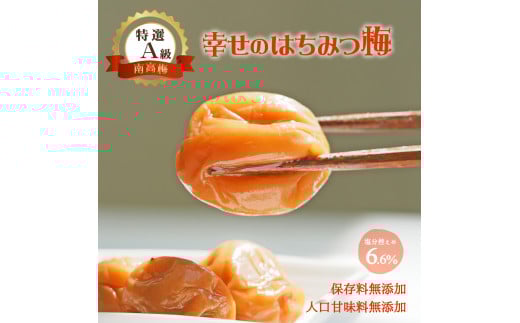 幸せのはちみつ梅(700g)和歌山県御坊市15000鍋セット・総菜・加工食品漬物・梅干・キムチ