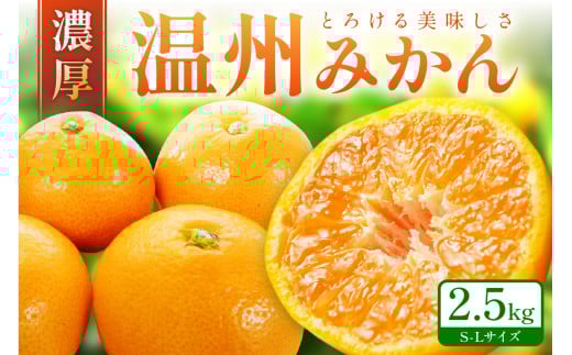 「濃厚な味のとろける美味しさ」温州みかん 2.5kg 《先行予約》ミカン  サイズ混合 S〜Lサイズ 甘い 果物 フルーツ 濃厚 産地直送 期間限定 デザート 贈り物  贈答和歌山県御坊市10000果物