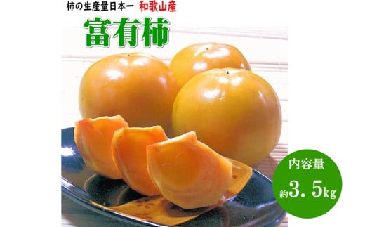xL` 3.5kgi13`17ja̎RYs\2025N10{菇a̎RVs12000ʕEt[c̑ ʕEt[c
