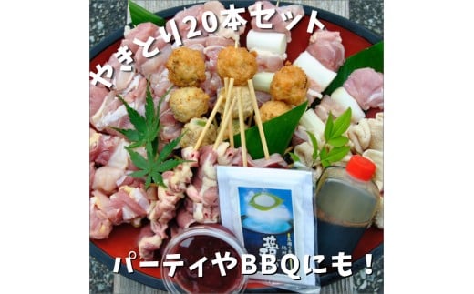 焼き鳥屋が作る【本格焼き鳥お任せセット20本】和歌山県御坊市11000肉鶏肉