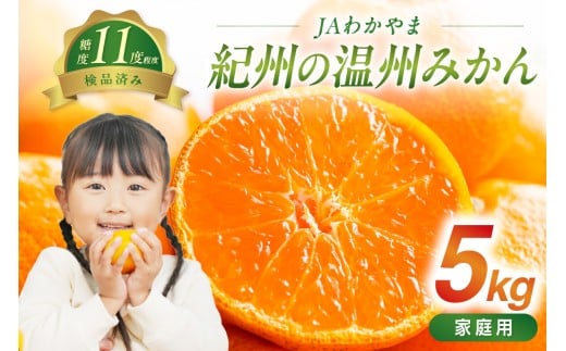 JAわかやま 紀州の温州みかん(家庭用)5kg和歌山県御坊市10000果物・フルーツみかん・柑橘類