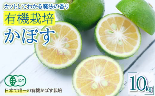 カットしてわかる魔法の香り「有機栽培かぼす」 10s箱入り K3-S大分県姫島村29000果物・フルーツみかん・柑橘類