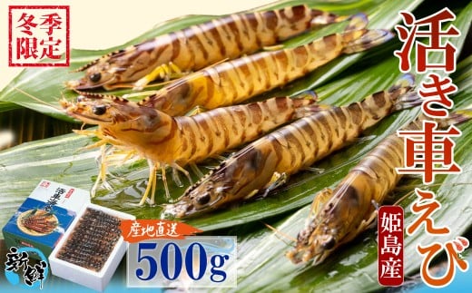 yԌzPY Ԃ  ({B) 500g 퉷z ΕMtg l yz{bNXsz Y CN Mtg hg Ă Ԃ A32啪P20000ECYGr