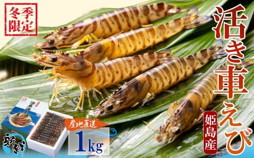 yԌzPY Ԃ  ({B) 1kg 퉷z ΕMtg l yz{bNXsz Y CN Mtg hg Ă Ԃ A33啪P37000ECYGr