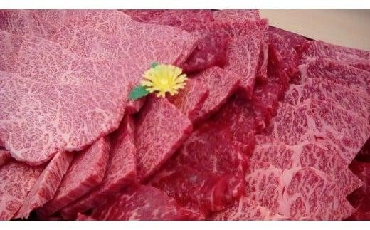 近江牛 焼き肉(赤身・カルビ部位)0.5kg滋賀県草津市30000肉牛肉
