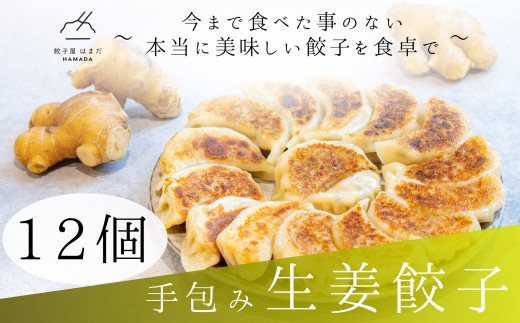 餃子 手包み生姜餃子 Sパック 12個入り 餃子屋はまだ滋賀県草津市6000鍋セット・総菜・加工食品総菜
