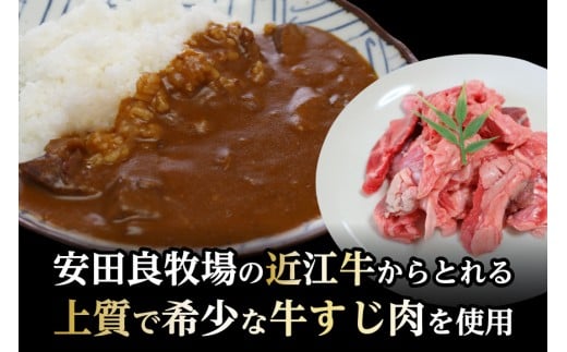 近江牛すじカレー 200g×3食滋賀県草津市11000鍋セット・総菜・加工食品総菜