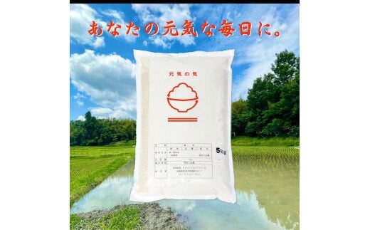 令和7年産 こだわり栽培米「コシヒカリ」(白米)5kg滋賀県草津市17000米・パン白米