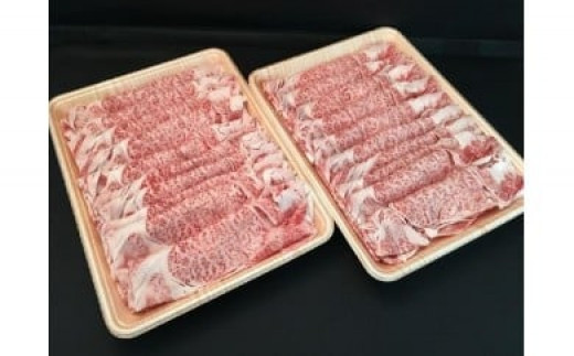 「肉の芸術品」飛騨牛すき焼き用(肩ロース肉)250g×2パック F4N-0613岐阜県中津川市23000肉牛肉