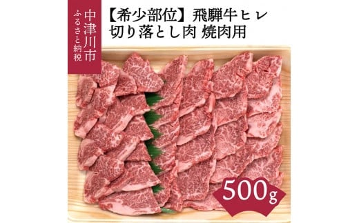 【希少部位】「肉の芸術品」飛騨牛ヒレ切り落とし肉焼肉用500g F4N-0620岐阜県中津川市45000肉牛肉