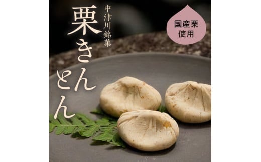 <老舗 くり屋南陽軒> 栗きんとん 10個入 F4N-1576岐阜県中津川市9000菓子・スイーツその他 和菓子