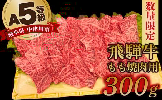 【数量限定!チルド(冷蔵)発送!】「飛騨牛」A5等級もも 300g 鉄板焼き 網焼き 焼肉 バーベキュー BBQ F4N-1226岐阜県中津川市13000肉牛肉