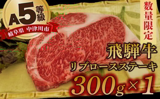 【数量限定!チルド(冷蔵)発送!】「飛騨牛」A5等級リブロース 300g ステーキ 鉄板焼き 網焼き 焼肉 バーベキュー BBQ F4N-1230岐阜県中津川市18000肉牛肉