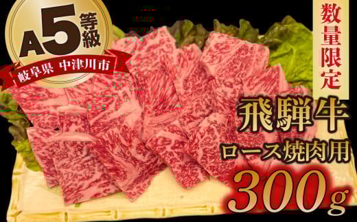 【数量限定!チルド(冷蔵)発送!】「飛騨牛」A5等級 ロース 300g 鉄板焼き 網焼き 焼肉 バーベキュー BBQ F4N-1232岐阜県中津川市18000肉牛肉