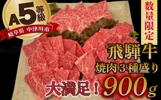 【数量限定!チルド(冷蔵)発送!】「飛騨牛」A5等級 焼肉3種盛り! ロース・もも・バラ各300g 鉄板焼き 網焼き 焼肉 バーベキュー BBQ F4N-1250岐阜県中津川市44000肉牛肉
