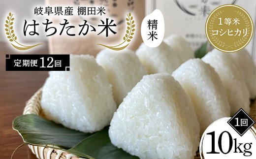 y12ցz򕌌Y Ic 1ăRVqJ ͂ 10kgi5kg×2܁j F4N-2597򕌌Ðs384000āEp