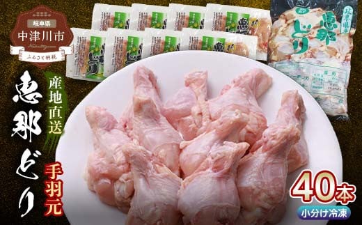 産地直送!恵那どり手羽元 5本×8パック 冷凍 F4N-2396岐阜県中津川市10000肉鶏肉