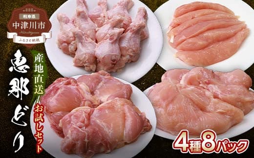 産地直送!恵那どり お試し4種 8パックセット 小分け 真空パック 大容量 セット 鶏肉 F4N-2398岐阜県中津川市12000肉鶏肉