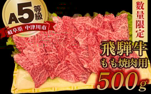 【数量限定!チルド(冷蔵)発送!】「飛騨牛」A5等級もも 500g 鉄板焼き 網焼き 焼肉 バーベキュー BBQ F4N-1238岐阜県中津川市21000肉牛肉
