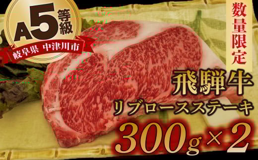 yʌI`hi①jIzuˋvA5u[X 300g×2 Xe[L SĂ ԏĂ ē o[xL[ BBQ F4N-1244򕌌Ðs36000