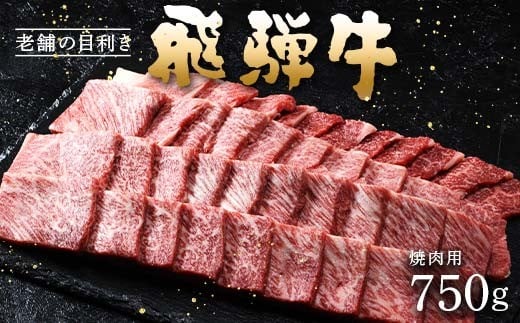 牛肉 飛騨牛 ロース肉 焼肉用 750g 牛 肉 ロース 焼き肉 赤身 飛騨 F4N-1744岐阜県中津川市45000肉牛肉