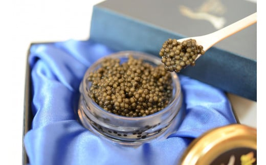 中津川キャビア S Caviar 食べ比べ5種(オシェトラ+4種) F4N-1217岐阜県中津川市280000魚介・海産物明太子・その他魚卵