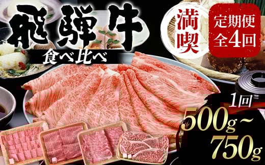 飛騨牛 満喫 定期便 全4回 食べ比べ 500g〜750g F4N-1696岐阜県中津川市144000肉牛肉