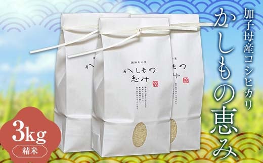 加子母産コシヒカリ「かしもの恵み」1kg×3 あなたが選ぶ日本一おいしい米コンテスト受賞米 米 精米 コシヒカリ F4N-1799岐阜県中津川市13000米・パン白米