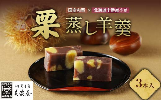 【中津川銘菓】【栗の銘菓】御菓子司美濃屋 栗蒸し羊羹 3本入り 国内特選栗使用 中津川銘菓 中津川 岐阜 和菓子 お茶菓子 お茶請け 羊羹 菓子 食品 F4N-1842岐阜県中津川市13000菓子・スイーツ