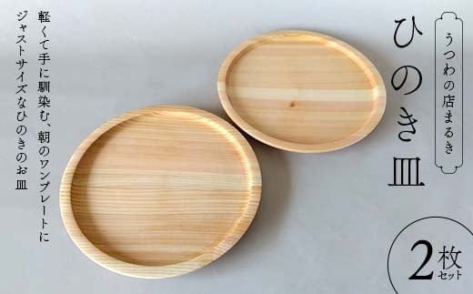 ひのき皿 2枚セット 木製 ワンプレート 桧 工芸品 木工品 おしゃれ 贈り物 プレゼント 岐阜 中津川 F4N-1809岐阜県中津川市24000衣類・装飾品・工芸品その他 装飾品・工芸品