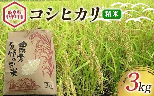 〈農事組合法人 阿木特産営農〉お米(コシヒカリ) 3kg 数量限定 こしひかり 中津川産 岐阜   こめ コメ 白米 精米 F4N-2498岐阜県中津川市12000米・パン白米
