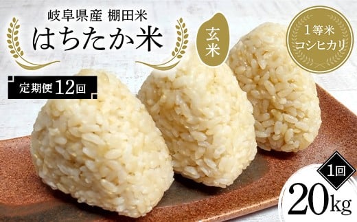 y12ցz򕌌Y Ic 1ăRVqJ ͂ 20kgi10kg×2܁j F4N-2650򕌌Ðs684000āEpāEGāEāE