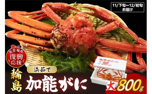 ys\z\KjiYYCKjAl䥂Łjijy2025N11{-12{ɂ͂zΐ쌧֓s80000ECYJj