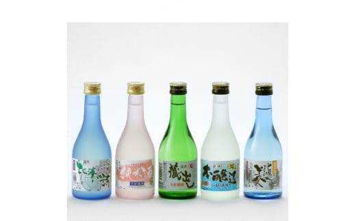 呑みくらべ5本セット(300ml×5本)【1202419】広島県庄原市10000酒・アルコール日本酒