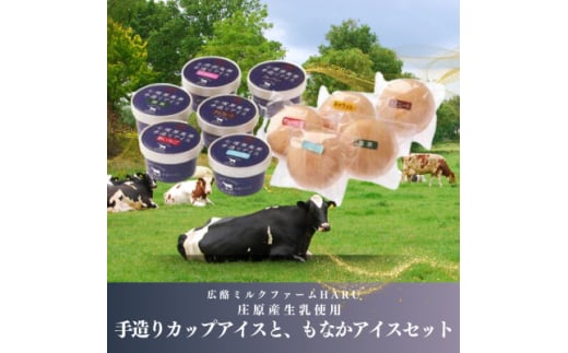 庄原産生乳使用 手造りカップアイスと、もなかアイスセット【1618794】広島県庄原市11000菓子・スイーツアイス・ジェラート