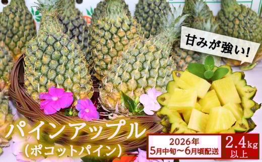 ys\zy2026N5{`6zzAmYpCAbvi|RbgpCj2.4sȏ㉫ꌧAm13000ʕEt[c̑ ʕEt[c