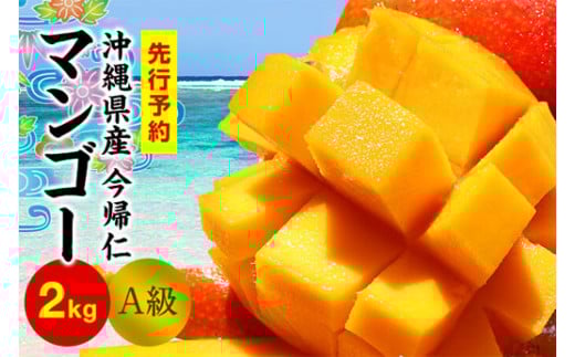 Am}S[A2kgȏys\zy2026N6{`8{zYҒꌧAm26000ʕEt[c}S[EpCibv