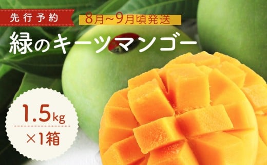 緑のキーツマンゴー1.5s【2026年8月〜9月頃発送】生産者直送 先行予約沖縄県今帰仁村27000果物・フルーツマンゴー・パイナップル