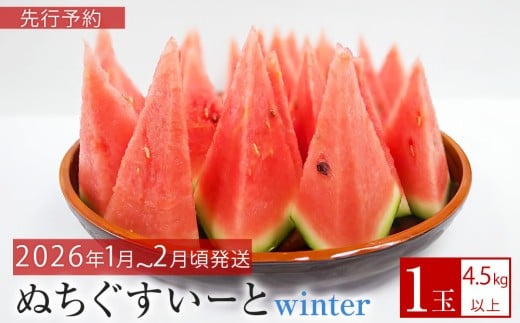 s\yJAȂzIIʂ[winter@y2026N1`2zꌧAm19500ʕEt[cEXCJ