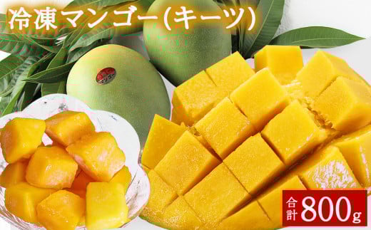 Ⓚ}S[iL[cj 800gi400g×QjꌧAm15000ZbgE؁EHHȋ ZbgE؁EHHi