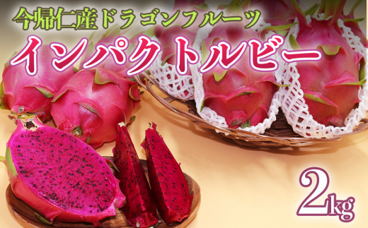 y50zAmYhSt[cuCpNgr[v2kgy2026N8`9zzꌧAm17000ʕEt[c̑ ʕEt[c