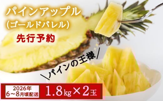 【2026年6〜8月頃配送】【限定70箱】今帰仁産パインアップル(ゴールドバレル)1.8s×2玉 先行予約沖縄県今帰仁村20000果物・フルーツその他 果物・フルーツ